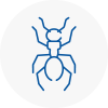 Ant Removals In Hereford