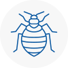 Bed Bug Extermination In Hereford