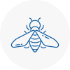 Bee Nest Removal Hereford