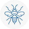 Hereford Hornet Nest Removals