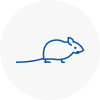 Mice Exterminators In Hereford