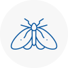 Moth Control Specialists In Hereford
