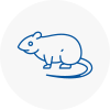 Rat Control Hereford
