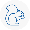 Hereford Rodent Removals
